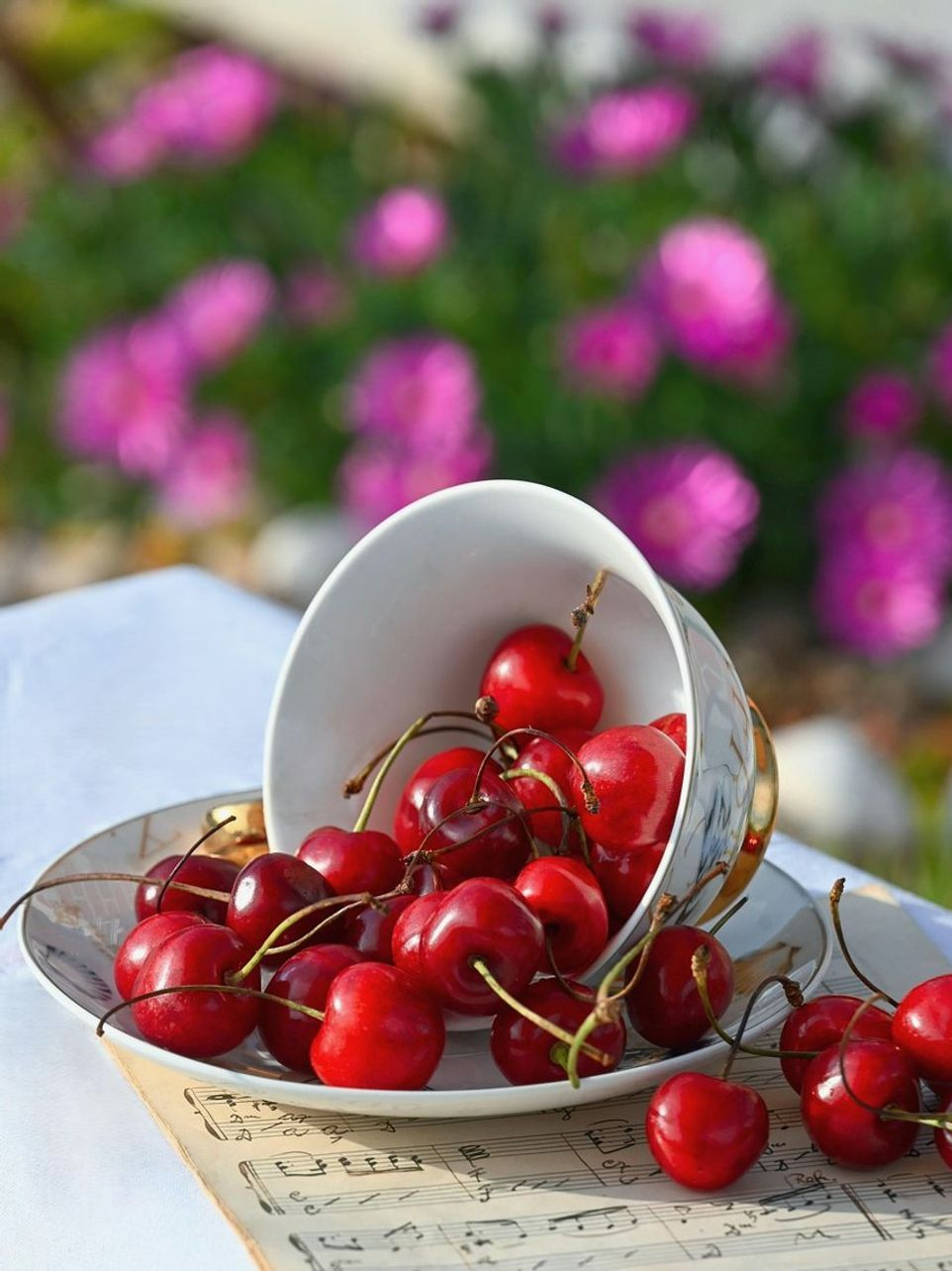 The Everyday Basket